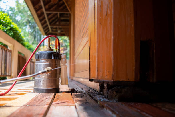 Best Pest Removal Services  in Arnold, PA