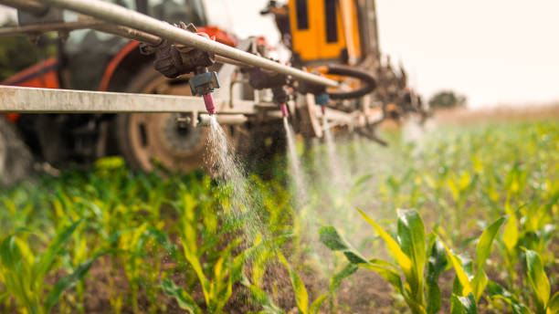 Reliable Arnold, PA Pest Control Solutions